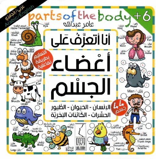 أنا أتعرف على أعضاء الجسم - عامر عبدالله